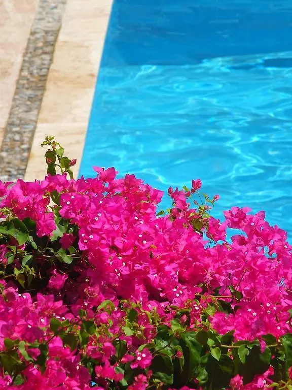 Hotel Villa Berk Fethiye Türkiye